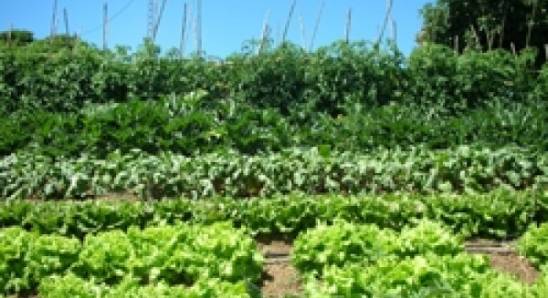 La Junta facilitará la constitución de hasta 1.250 empresas de jóvenes agricultores