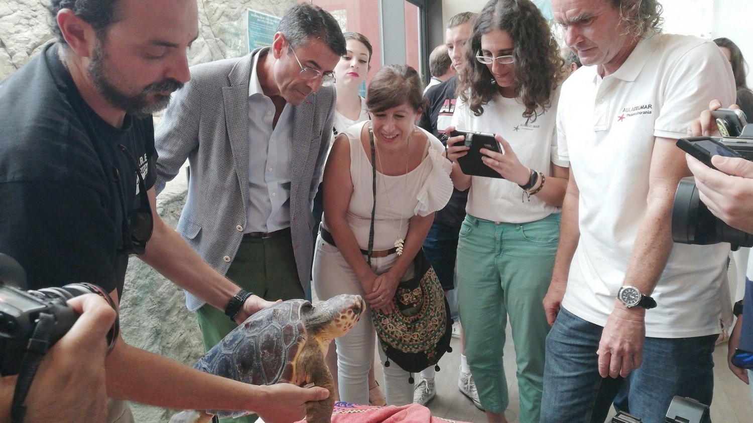 Sueltan en su medio natural a una tortuga boba que se recuperó de sus heridas en el CREMA del Aula del Mar