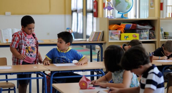 El Consejo de Gobierno subraya que es el Estado el responsable de fijar las ratios y aportar recursos