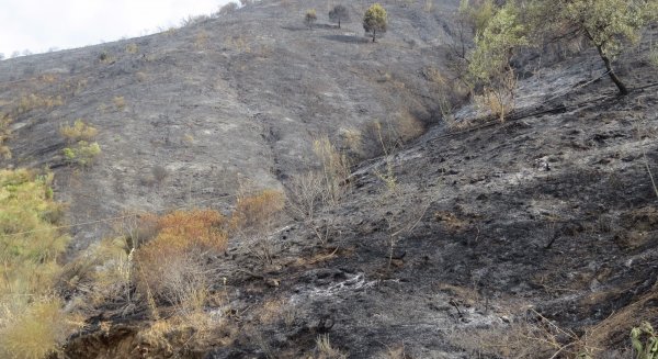 Una persona investigada como presunta autora del incendio forestal en el paraje Carvajal de Málaga