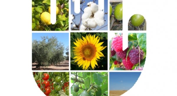 La Junta inicia una campaña dirigida al público general sobre el riesgo que supone traer plantas y frutas de otros países