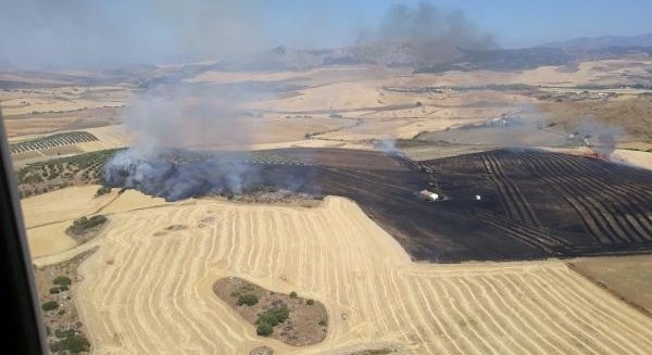 Estabilizado el incendio agrícola declarado en Cañete La Real