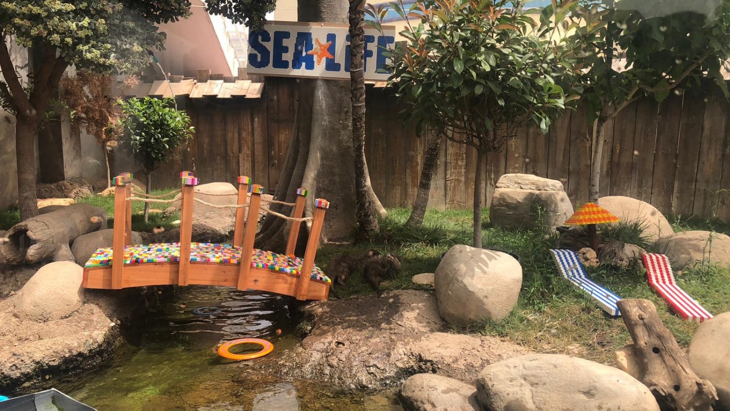 Sea Life Benalmádena crea el primer parque acuático para nutrias hecho con figuras de LEGO