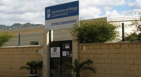 El Ayuntamiento anuncia una reducción, durante los primeros 6 meses del año, en el número de ingresos de perros y gatos en el Centro Zoosanitario