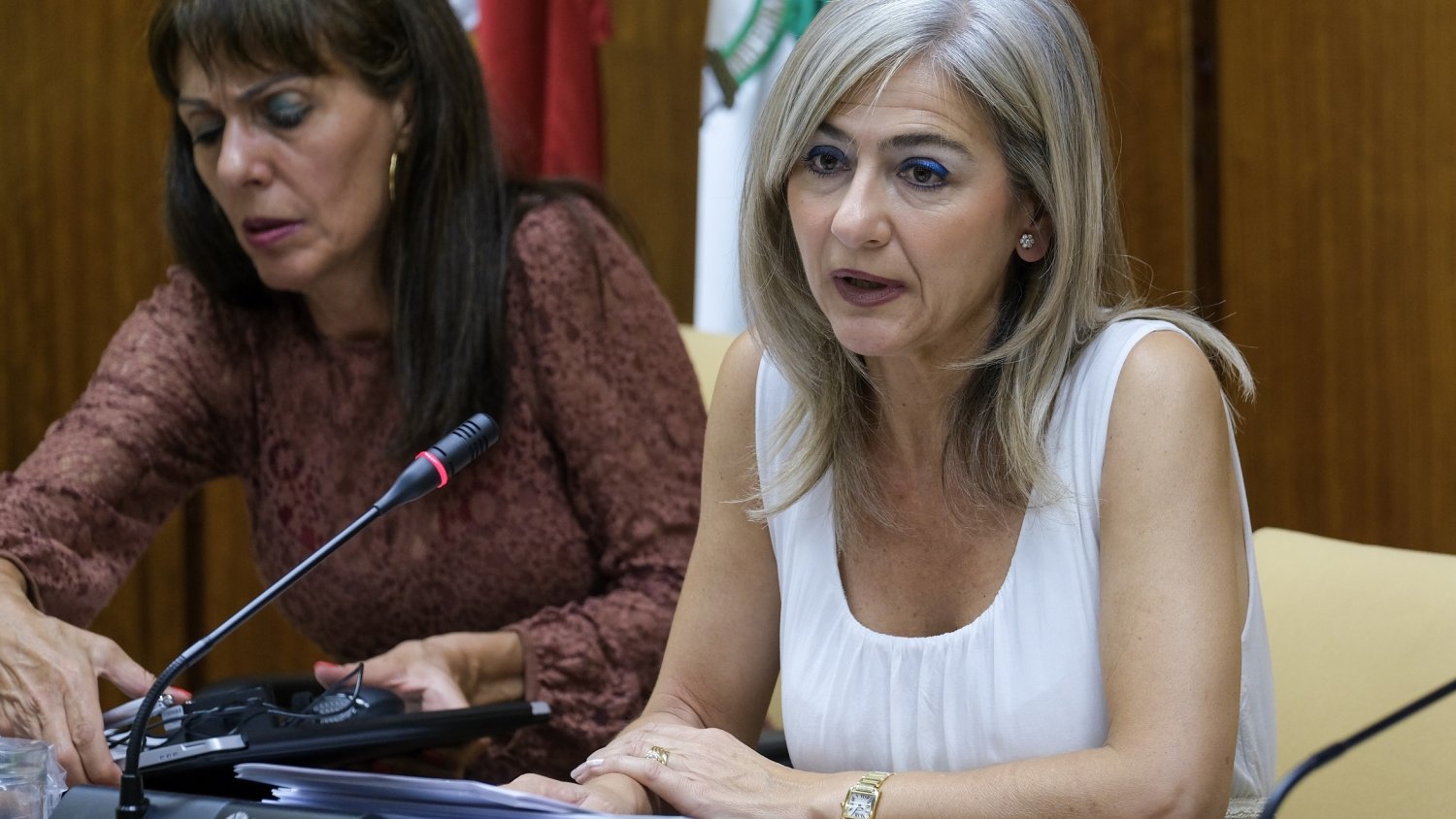 Cultura incorporará en Málaga 2 nuevos funcionarios para reforzar con un plan de choque la protección del patrimonio en Andalucía
