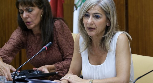 Cultura incorporará en Málaga 2 nuevos funcionarios para reforzar con un plan de choque la protección del patrimonio en Andalucía