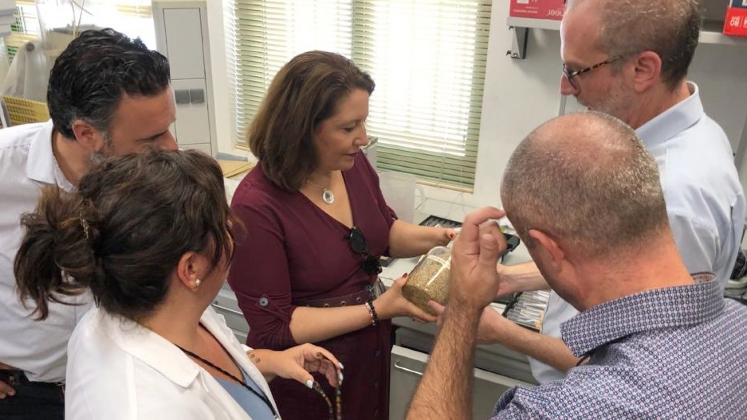 Crespo resalta que la Junta ha dado respuesta a todas las demandas del sector olivarero dentro de sus competencias