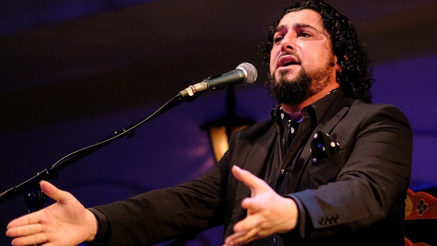 Mañana comienza el ciclo 'Flamenco de Altura' en la terraza del AC Málaga Palacio
