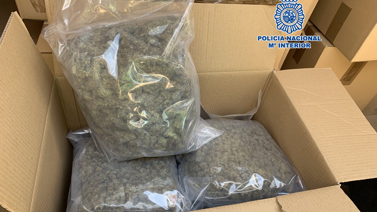 La Policía Nacional se incauta de 236 kilos de marihuana empaquetada para su distribución al por mayor y detiene a cuatro personas