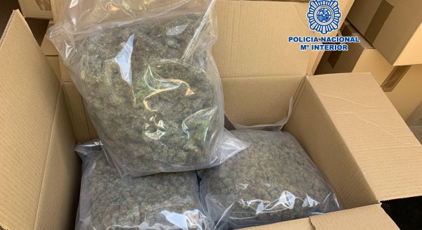 La Policía Nacional se incauta de 236 kilos de marihuana empaquetada para su distribución al por mayor y detiene a cuatro personas