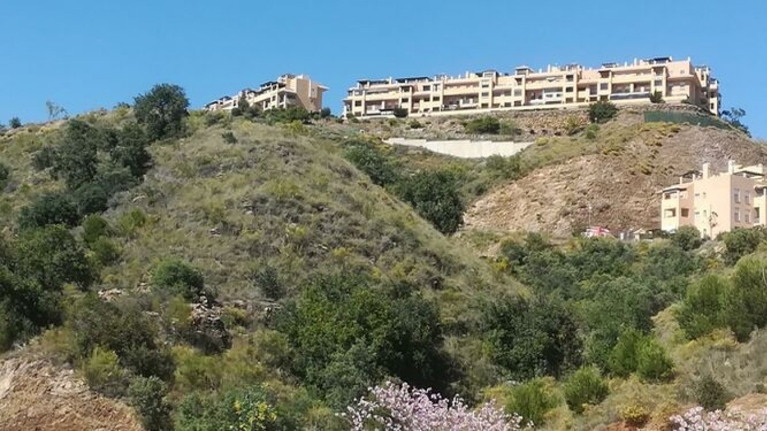 Adelante Andalucía pide a Fomento que paralice la venta de cinco parcelas en Rincón para construir viviendas libres