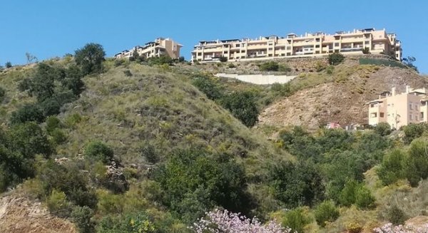 Adelante Andalucía pide a Fomento que paralice la venta de cinco parcelas en Rincón para construir viviendas libres