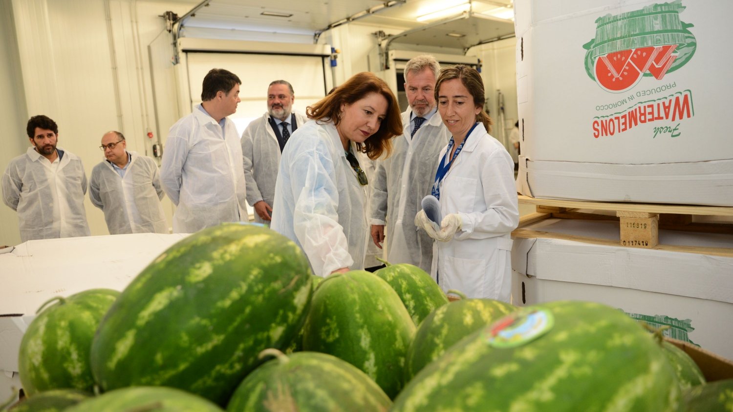 Crespo recalca la necesidad de aumentar el control en los Puestos de Inspección Fronterizos en su visita a las instalaciones de Motril