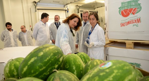 Crespo recalca la necesidad de aumentar el control en los Puestos de Inspección Fronterizos en su visita a las instalaciones de Motril
