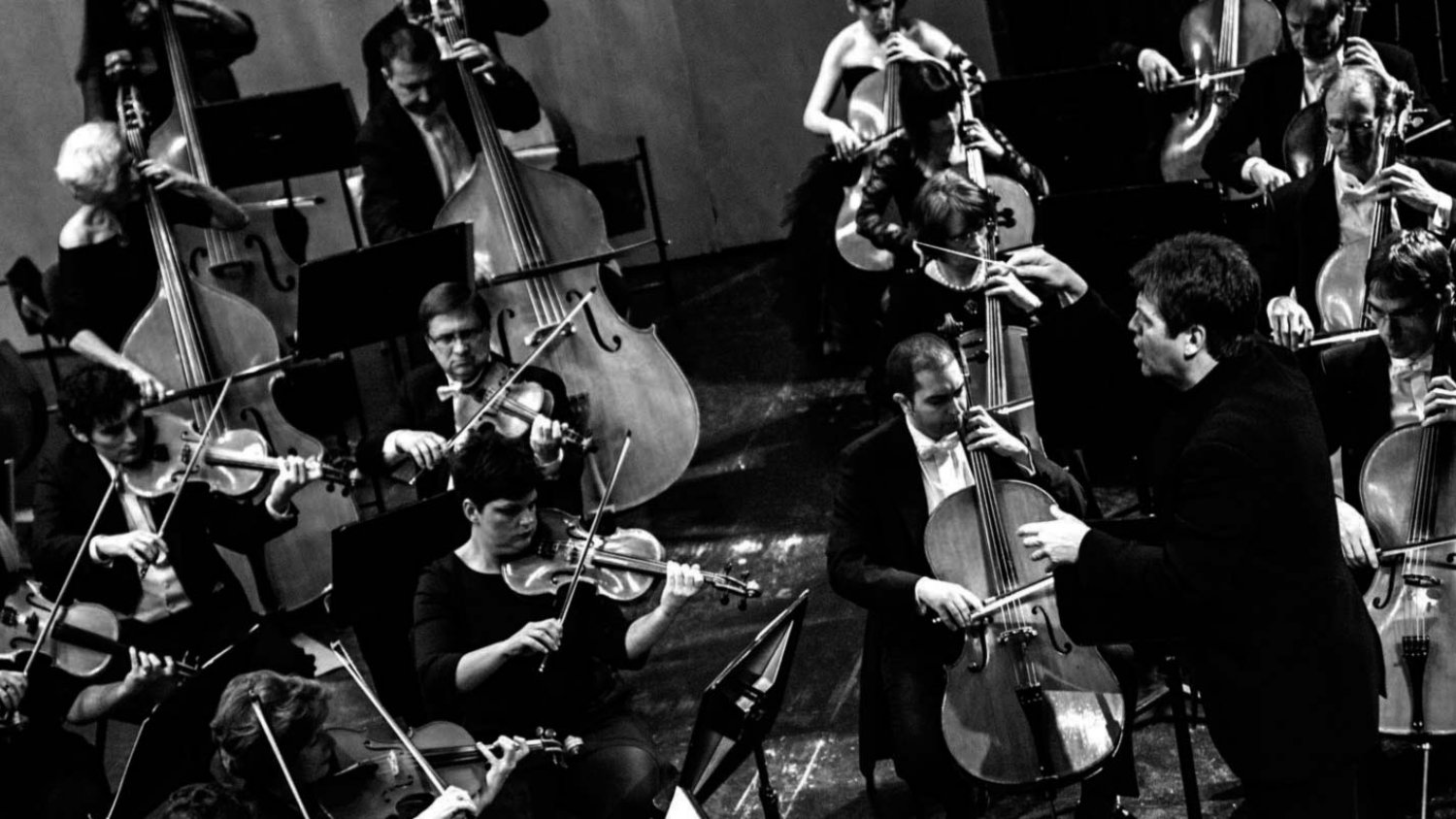 La Orquesta Filarmónica de Málaga dará un concierto en la Catedral por el ciclo “La música en tiempo de Pedro de Mena”