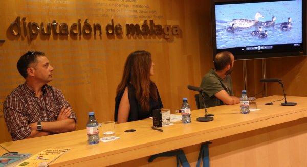 La Diputación muestra en vídeos el potencial ornitológico de la provincia, que cuenta con 370 especies diferentes de aves