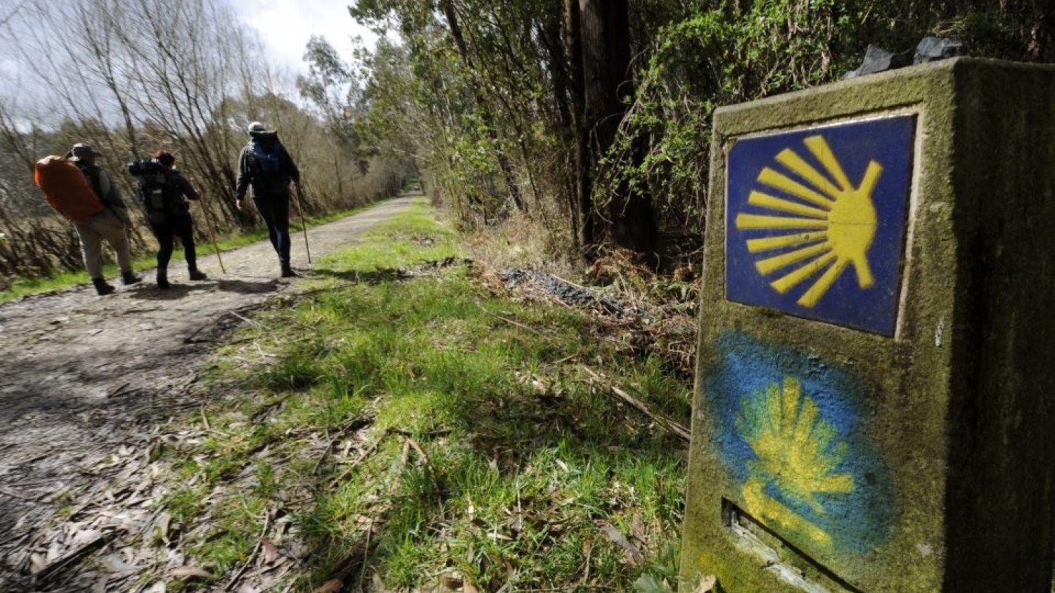 AVOI y el Hospital Regional de Málaga presentan una peregrinación al Camino de Santiago a la que irán familias con menores con patologías oncohematológica
