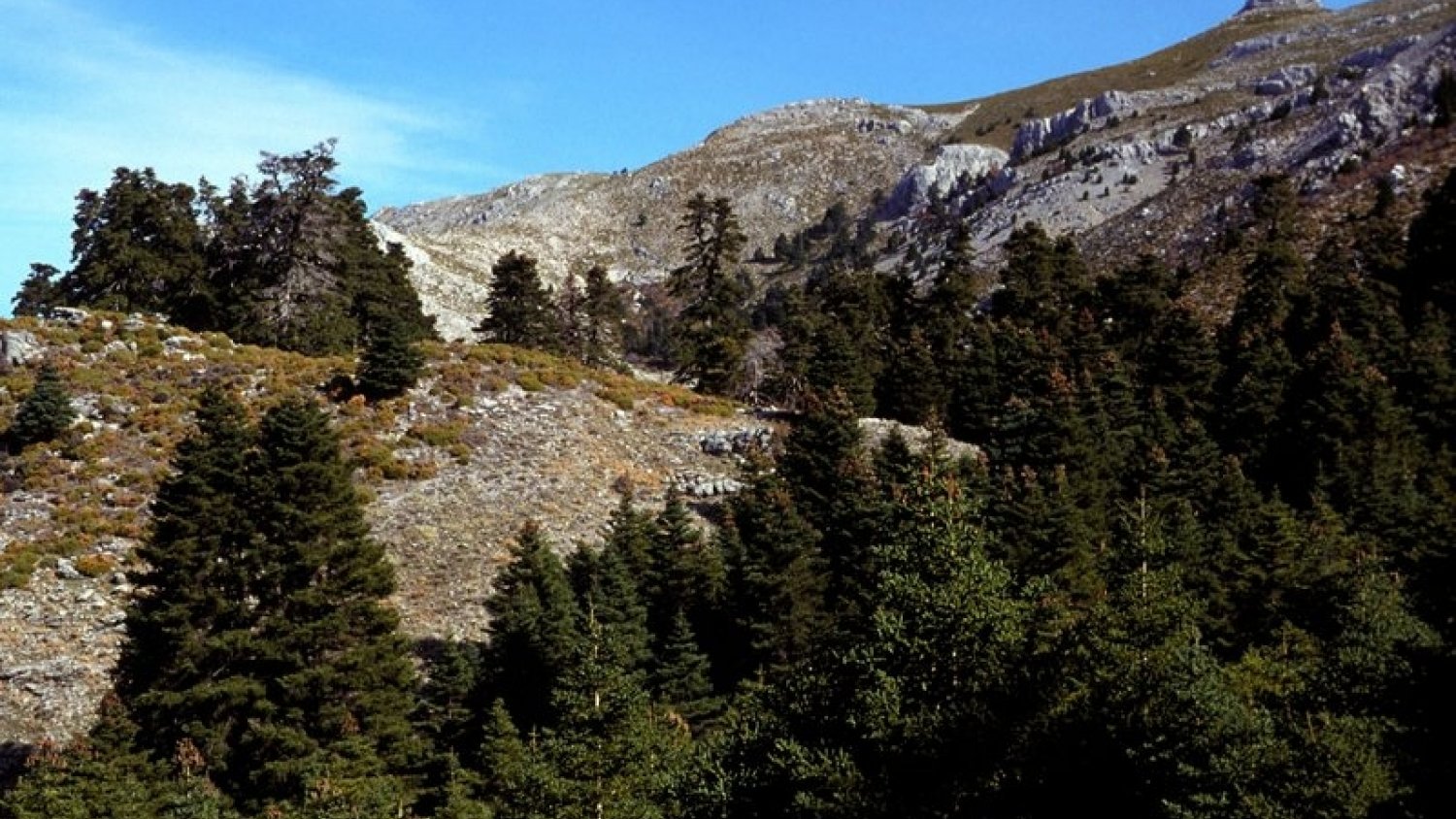El Parlamento Andaluz aprueba una iniciativa para poner en marcha un plan de promoción del Parque Nacional Sierra de las Nieves
