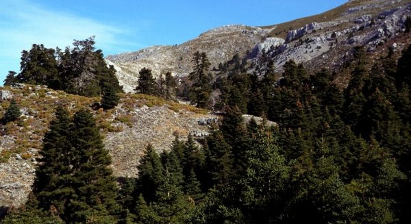 El Parlamento Andaluz aprueba una iniciativa para poner en marcha un plan de promoción del Parque Nacional Sierra de las Nieves