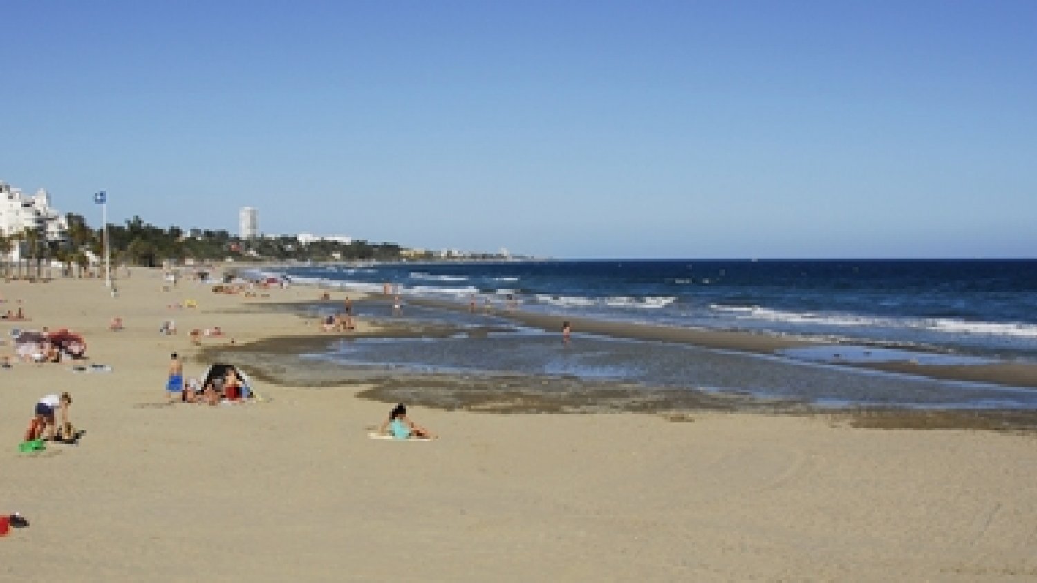 Marbella abre el procedimiento de reserva de moragas a través de Internet