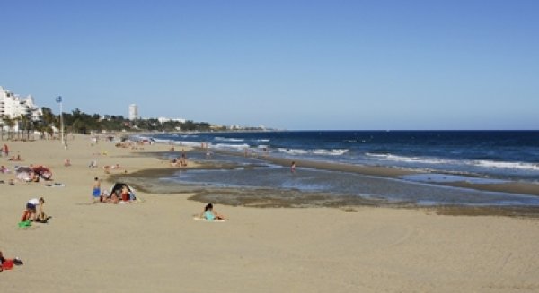 Marbella abre el procedimiento de reserva de moragas a través de Internet