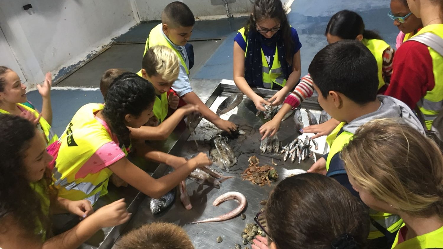 900 escolares reciben el Programa de Alimentación Saludable de Mercamálaga