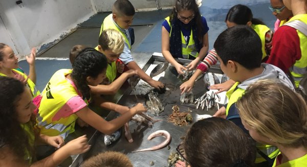 900 escolares reciben el Programa de Alimentación Saludable de Mercamálaga