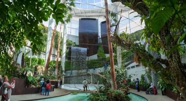El Parque Botánico-Orquidario de Estepona alberga la floración de más de 200 especies diferentes