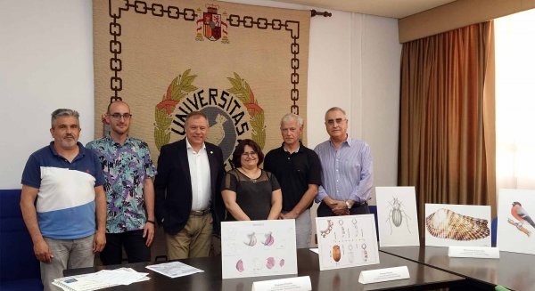 Más de 30 obras compiten en el I Concurso de Ilustración Científica de la UMA