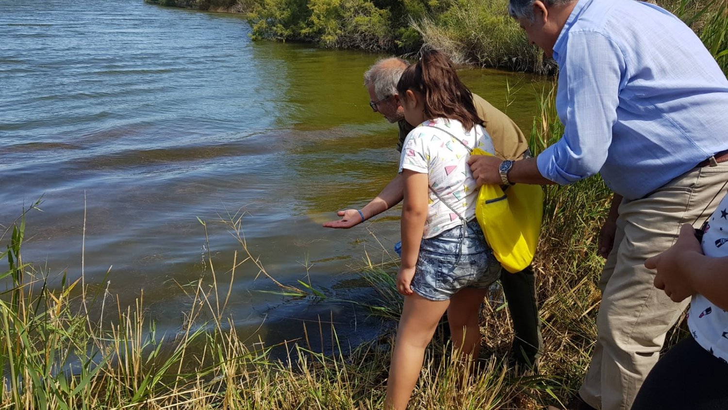 Escolares malagueños participan en la reintroducción de más de mil peces en la desembocadura del Guadalhorce