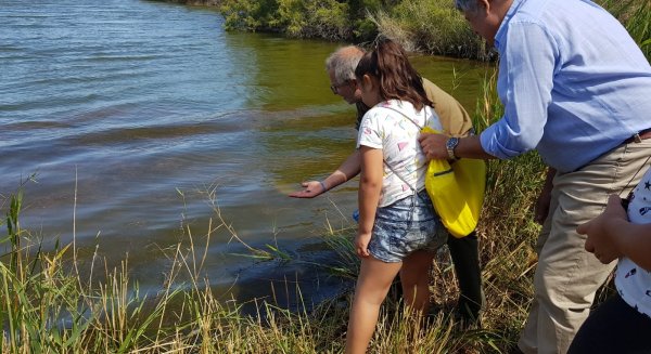 Escolares malagueños participan en la reintroducción de más de mil peces en la desembocadura del Guadalhorce