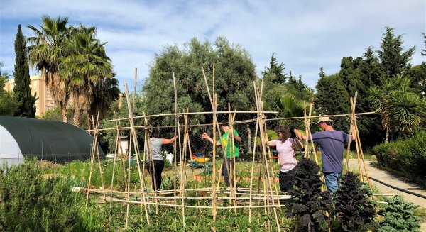 La Noria celebra el Día Internacional del Medio Ambiente con un panel de experiencias de emprendimiento e innovación social ambiental