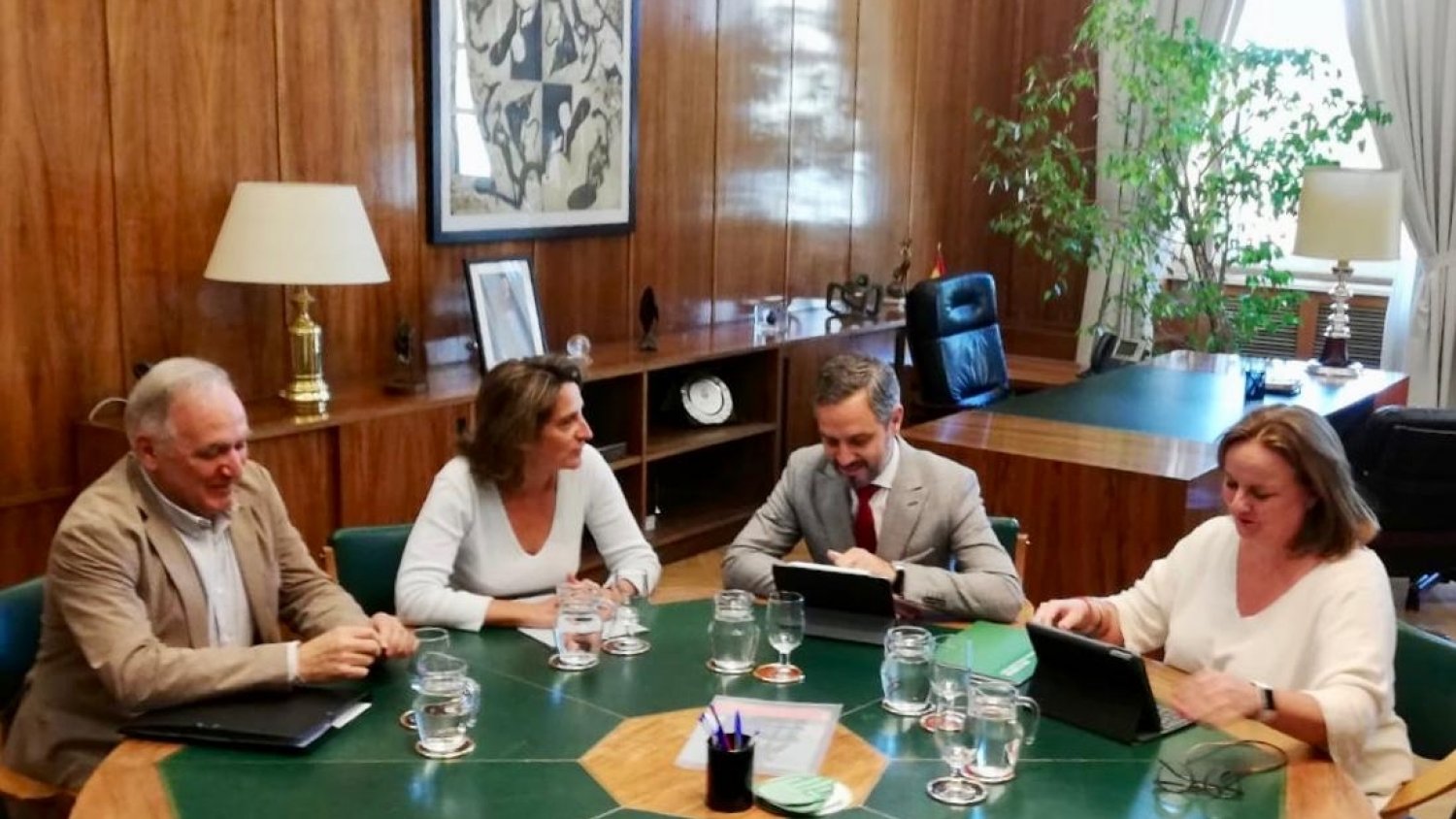 Andalucía demanda inversiones para ampliar en 11.430 MW su capacidad de evacuación de proyectos de energías renovables