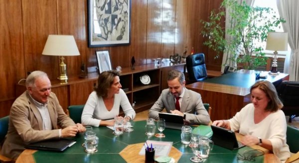 Andalucía demanda inversiones para ampliar en 11.430 MW su capacidad de evacuación de proyectos de energías renovables
