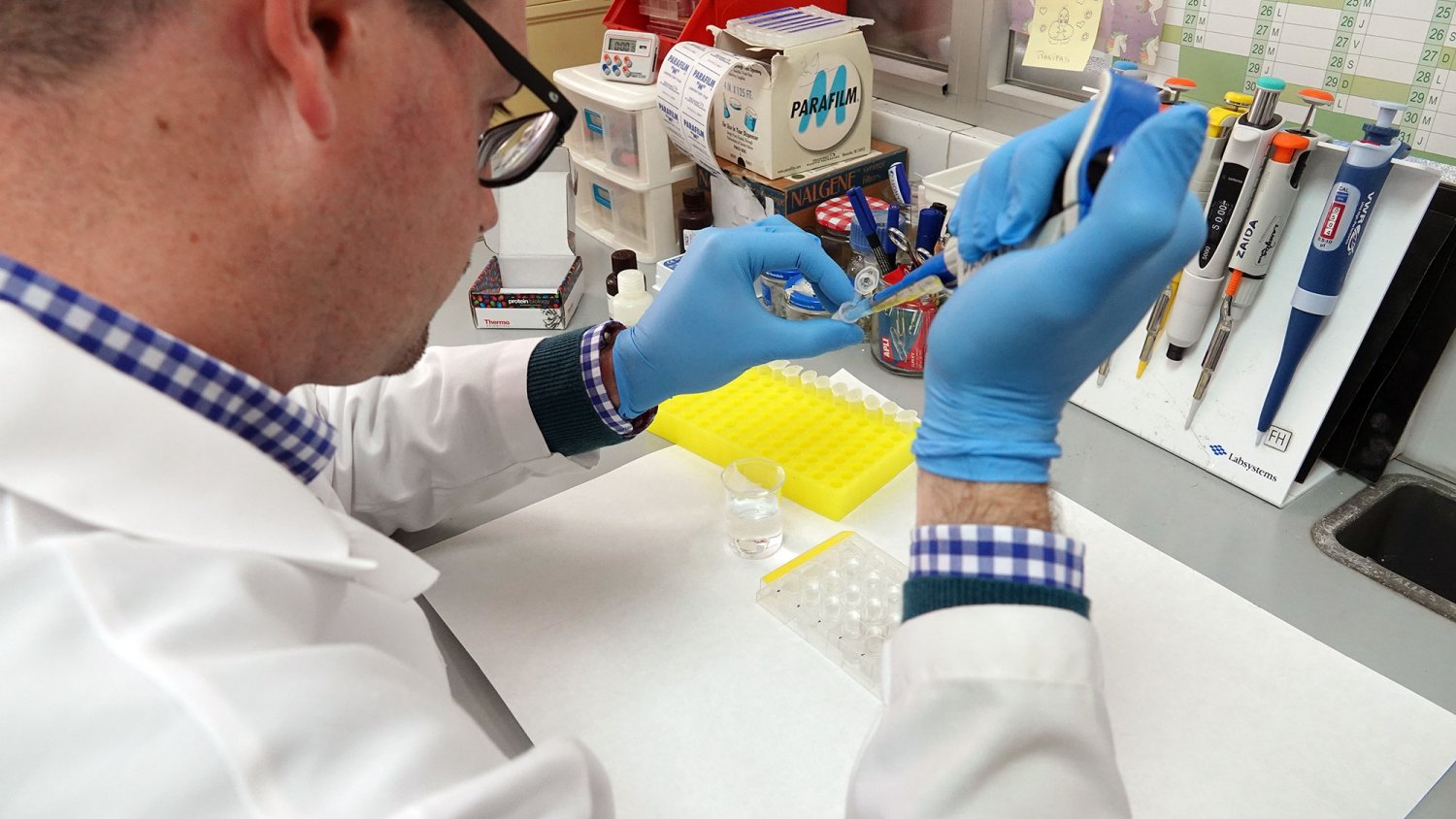 Investigadores de la Universidad de Málaga descubren una nueva diana terapéutica para combatir la depresión