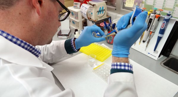 Investigadores de la Universidad de Málaga descubren una nueva diana terapéutica para combatir la depresión