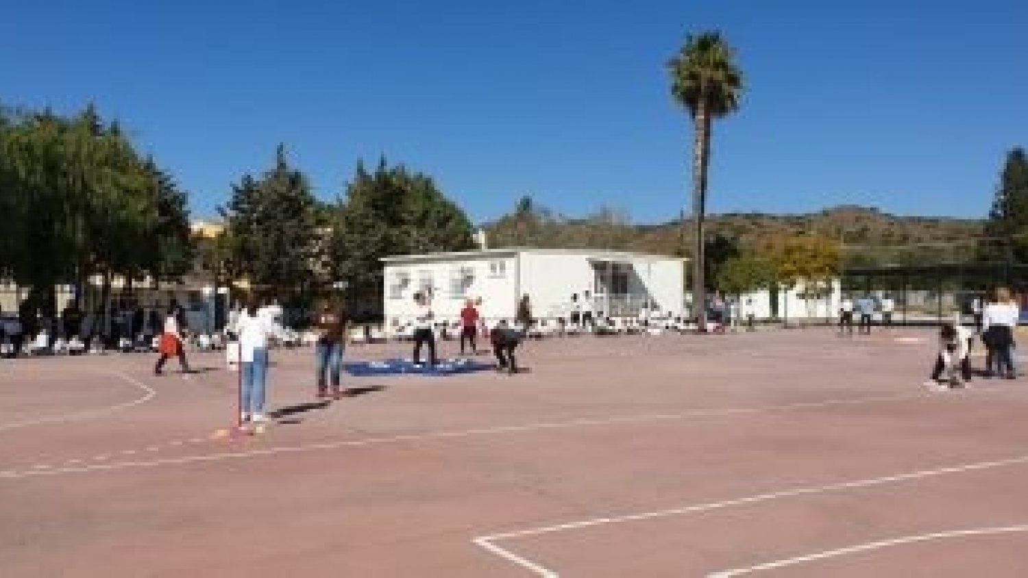 El Ayuntamiento fumigará esta tarde por segunda vez el Colegio Cayetano Bolívar que continua afectado por un plaga de pulgas