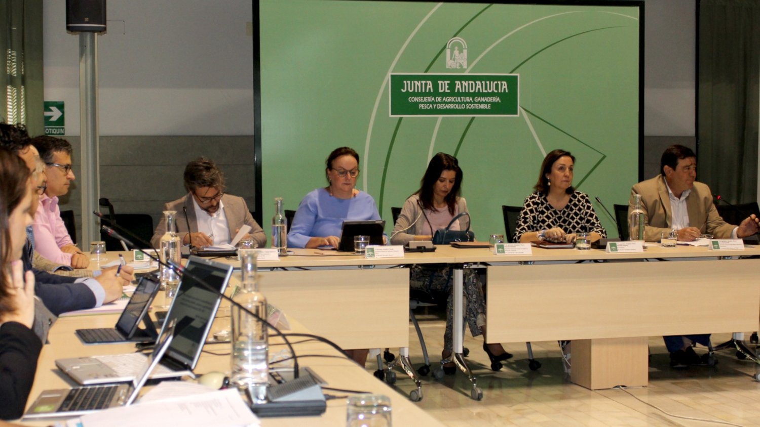 Constituido el Comité Director del Plan Estratégico que llevará a cabo la mejora de la competitividad del sector andaluz