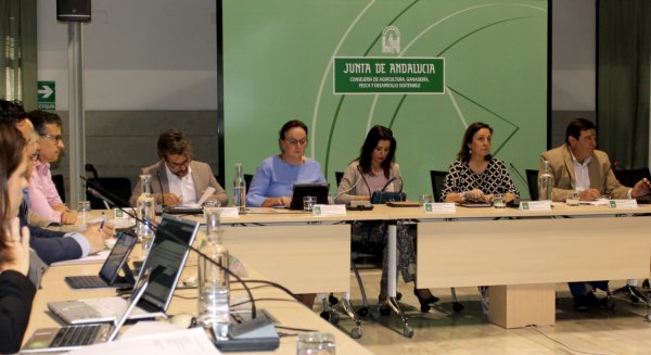 Constituido el Comité Director del Plan Estratégico que llevará a cabo la mejora de la competitividad del sector andaluz