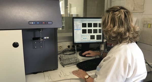 El Hospital Regional de Málaga, líder nacional en trasplantes de médula ósea con 146 en 2018
