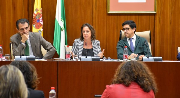 García: “Los centros sanitarios públicos en Andalucía están preparados para atender al incremento de la demanda”