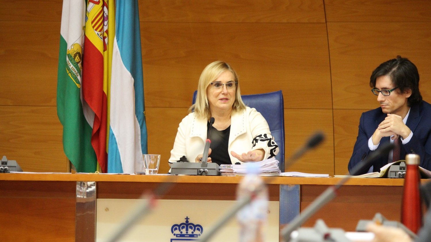Fuengirola inicia la tramitación para adaptar la ordenanza del taxi al nuevo Reglamento andaluz del sector
