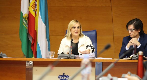 Fuengirola inicia la tramitación para adaptar la ordenanza del taxi al nuevo Reglamento andaluz del sector