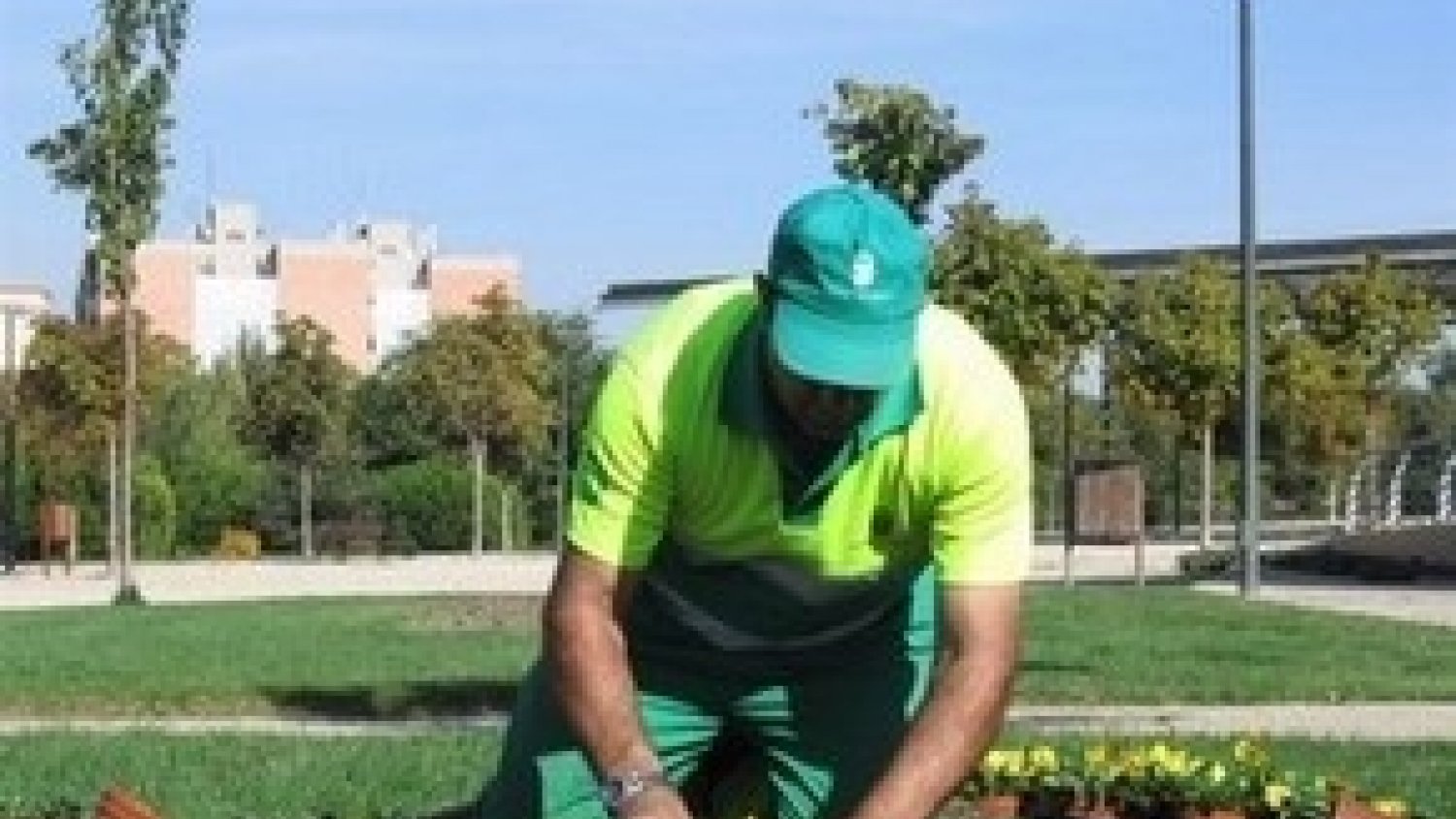 Inspección de Trabajo da la razón a CCOO ante la falta de seguridad laboral en el mantenimiento de jardines de Málaga