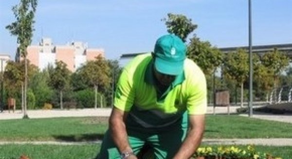 Inspección de Trabajo da la razón a CCOO ante la falta de seguridad laboral en el mantenimiento de jardines de Málaga