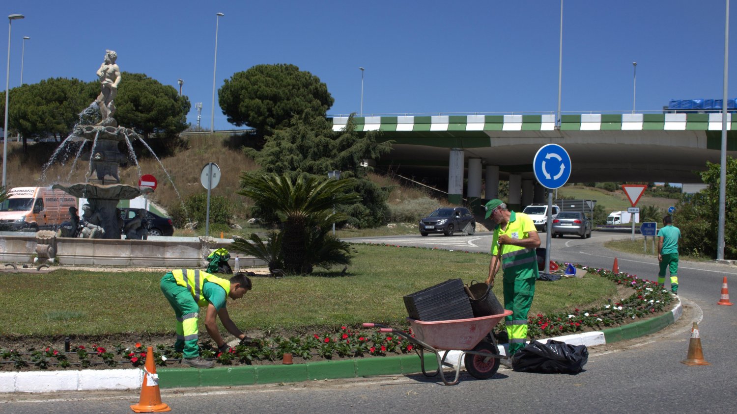 El Ayuntamiento de Estepona comienza la plantación de 400.000 ejemplares de flores en zonas verdes públicas