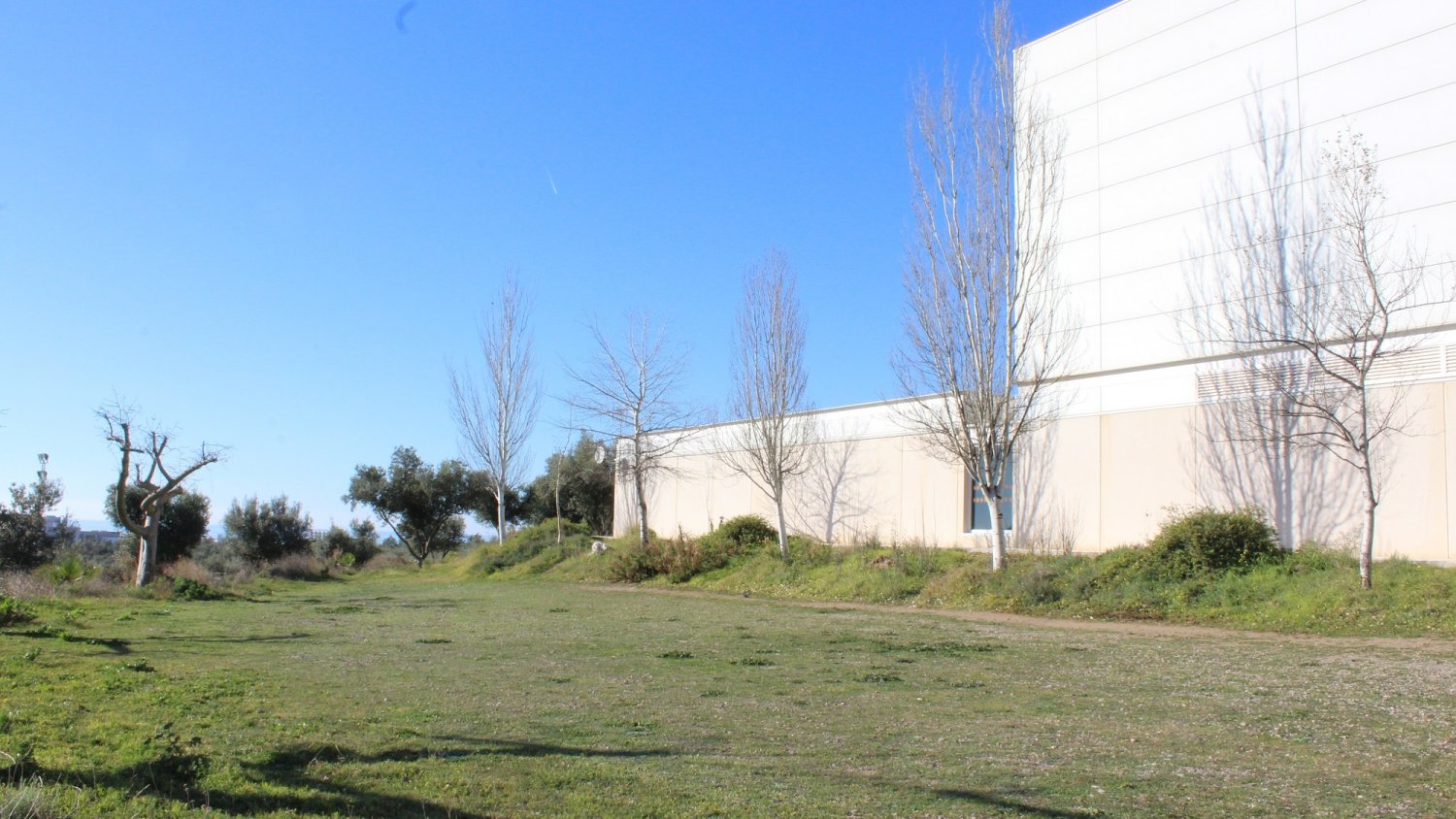 El PP de Mijas promete construir una piscina terapéutica junto al polideportivo de La Cala si gana las elecciones