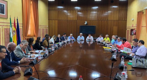 La Junta comienza a perfilar las medidas del nuevo ‘Plan Apícola’