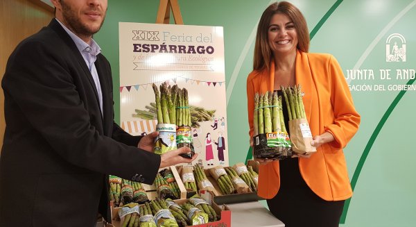 Sierra de Yeguas presentan la XIX edición de la Feria del Espárrago y Agricultura Ecológica