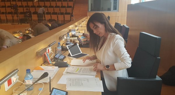 Ciudadanos pide a la Diputación una aportación económica 